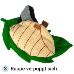 Lebenszyklus-Stoffmodell "Schmetterling", 3-tlg.