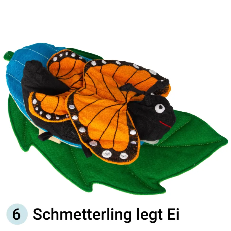 Lebenszyklus-Stoffmodell "Schmetterling", 3-tlg.
