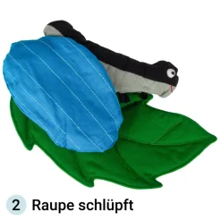 Lebenszyklus-Stoffmodell