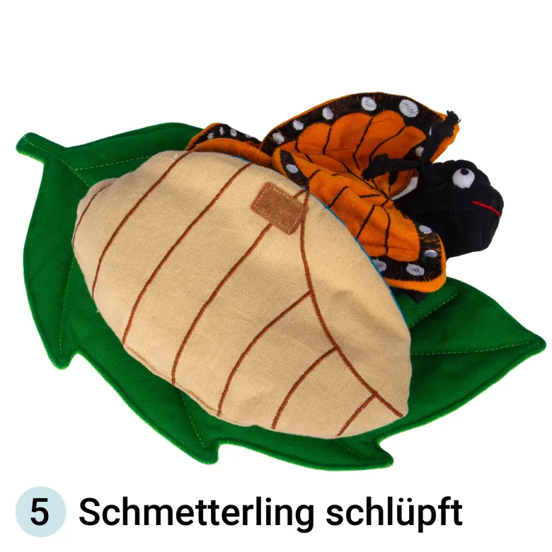 Lebenszyklus-Stoffmodell "Schmetterling", 3-tlg.