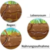 Lebenszyklus und Leben "Regenwurm", magnetisch, 24-tlg.