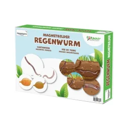 Lebenszyklus und Leben