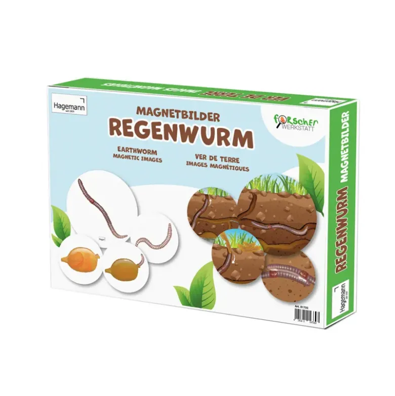 Lebenszyklus und Leben "Regenwurm", magnetisch, 24-tlg.