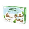 Lebenszyklus und Leben "Schnecke", magnetisch, 24-tlg.