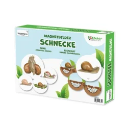 Lebenszyklus und Leben "Schnecke", magnetisch, 24-tlg.