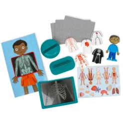 Lernspiel "Der menschliche Körper", Steck-Set, 17-tlg.