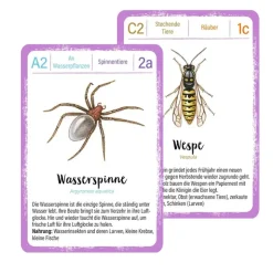 Lernspiel "Minimonster Insekten-Quartett", 32 Karten