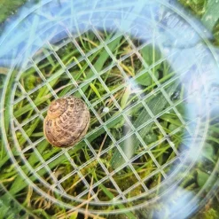 Lupen-Dose mit Holzdeckel "Natur & Digital"