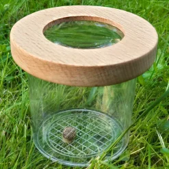 Lupen-Dose mit Holzdeckel 