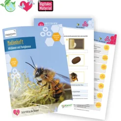 Medienheft "Wild- und Honigbienen", 44 Seiten