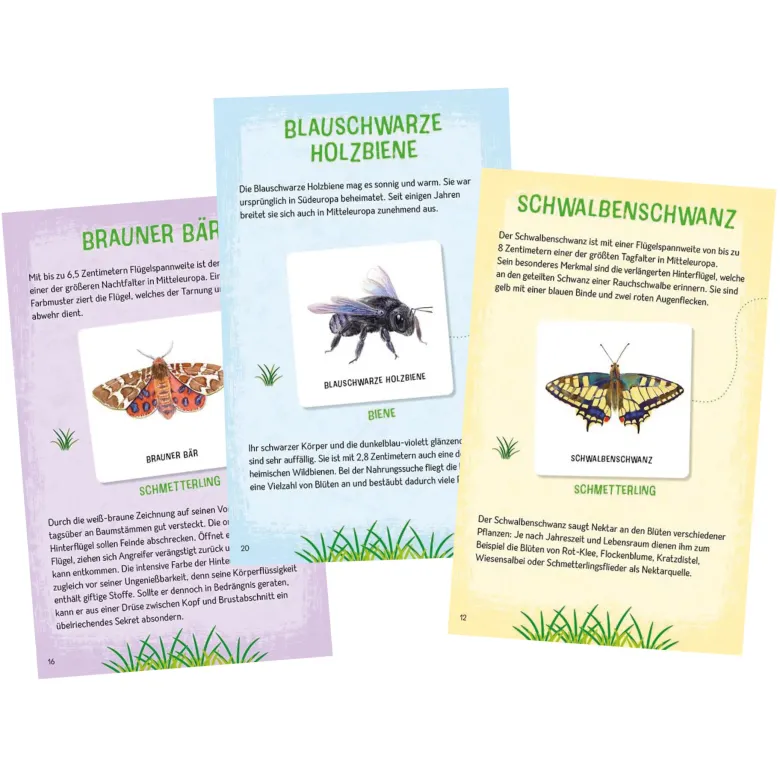Memo-Spiel "Das große Insekten Memo", 61-tlg.