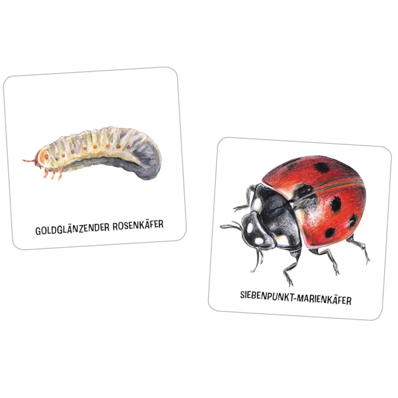 Memo-Spiel "Das große Insekten Memo", 61-tlg.