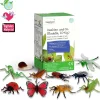 Modell "Insekten & Co.", 10-tlg.