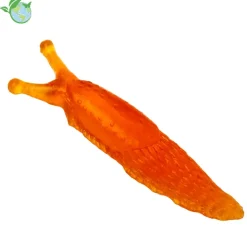 Modell "Nacktschnecke", 13x3x1,5 cm