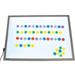 Muschel-Set, transparent und taktil, 108-tlg.