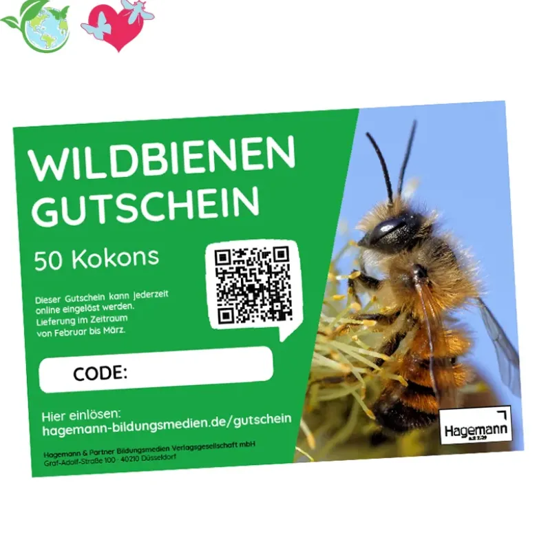 Nachbestell-Gutschein Wildbienen, Rote Mauerbiene, für 50 Kokons