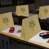 Natura-Clausura-Koffer gefüllt für Klassensatz