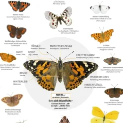 Naturposter A2 