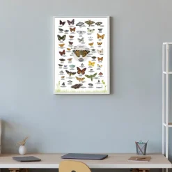 Naturposter A2 