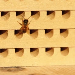 Pädagogischer Nistblock mit Beobachtungsschublade, 4-tlg.