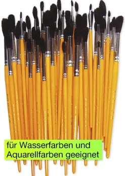 Pinsel für Wassermalfarbe, 50-tlg.