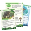 Play & Go-Spieltasche "Bedrohte Tierwelt", 10-tlg.