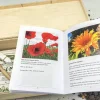 Saatgut-Box "Gartenbox für Kinder", Set 1, 67-tlg.