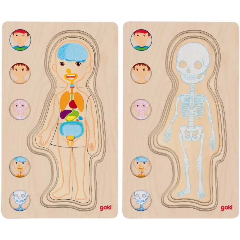 Schichten-Puzzle "Körper Junge", 29-tlg.