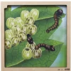 Schichten-Puzzle "Schmetterling" + gratis APP, 86-tlg.
