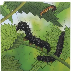 Schichten-Puzzle
