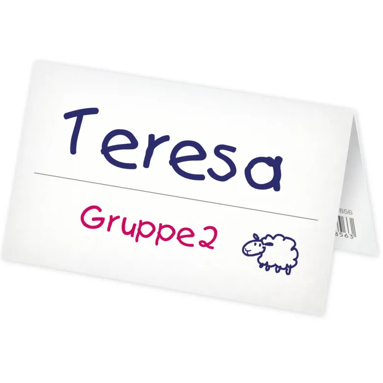 Set Aufstell-Namenskärtchen aus Pappe, 100-tlg.