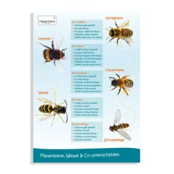 Set Bienen-Poster A2, 3-tlg.