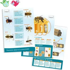 Set Bienen-Poster A2, 3-tlg.