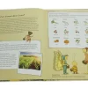 Set "Die kleine Hummel Bommel", Sachbilderbuch und Saatgut-Box
