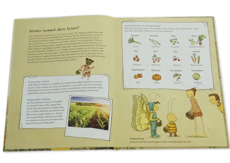 Set "Die kleine Hummel Bommel", Sachbilderbuch und Saatgut-Box
