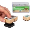 Set Holzstempel "Lebenszyklus Schmetterling", 11-tlg. mit Stempelkissen