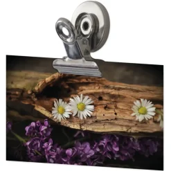 Set Magnet-Clips 50 mm, 3-tlg.