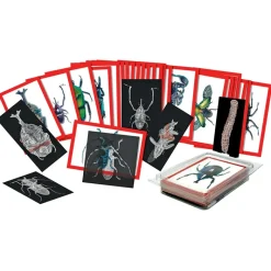 Set Röntgenbilder + Bildkarten "Insekten", 72-tlg.
