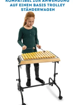 SONOR SMART Metallophon, Alt c1-a2 + fis1, b1, fis2, mit Schlägel, zum Stapeln, ASM 10 DE