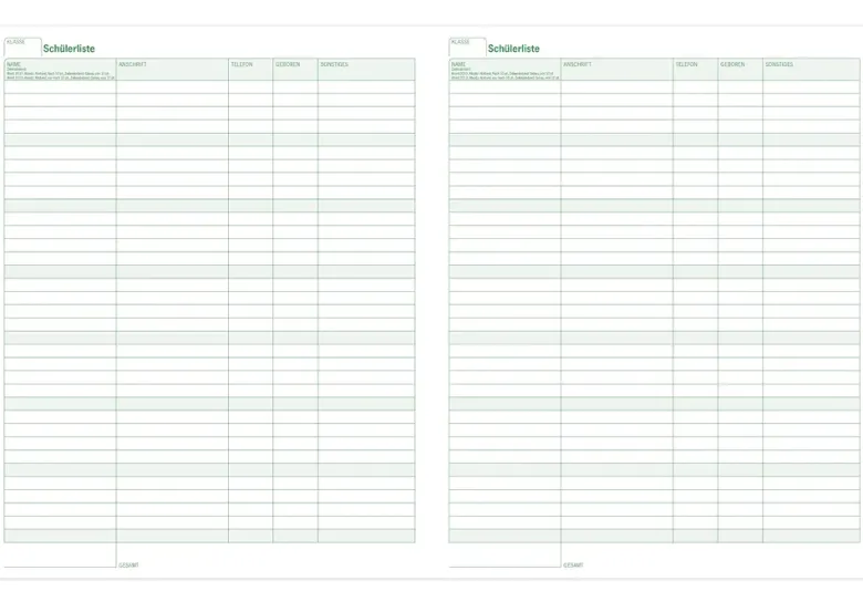 s+w Unterrichts-Planer A4++ 26/27 Flexi - 10 Stunden