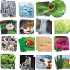Taktiles Natur-Memospiel, 34-tlg.