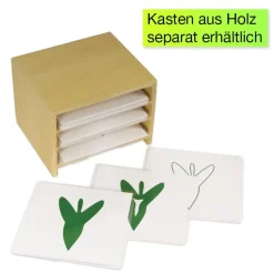 TimeTEX Botanischer Kartensatz 