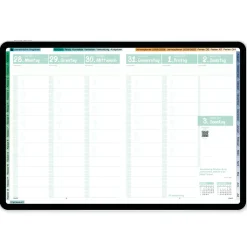TimeTEX Digitaler Design-Schulplaner DigiPlan 2026/2027, mint
