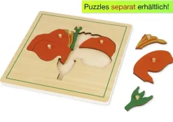 TimeTEX Kasten mit 3 Fächern für die Botanischen Puzzles
