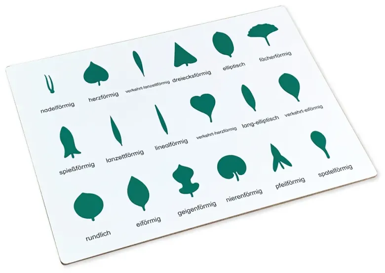 TimeTEX Kontrolltafel für die Botanische Kommode "Montessori Premium"
