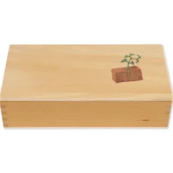 TimeTEX Lebenszyklus Bohnen-Pflanze, in Holzbox "Montessori Premium"