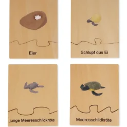 TimeTEX Lebenszyklus einer Schildkröte, in Holzbox "Montessori Premium"