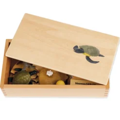 TimeTEX Lebenszyklus einer Schildkröte, in Holzbox 