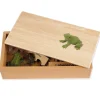 TimeTEX Lebenszyklus eines Frosches, in Holzbox "Montessori Premium"