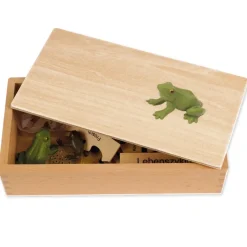 TimeTEX Lebenszyklus eines Frosches, in Holzbox "Montessori Premium"